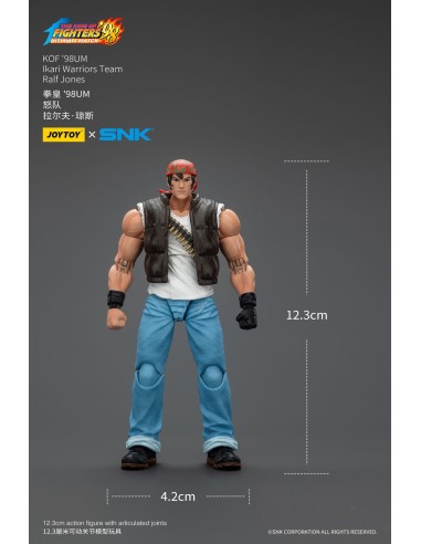 The King Of Fighters '98 Action...