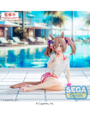 Uma Musume Pretty Derby Yumemirize... Uma Musume Pretty Derby Yumemirize...