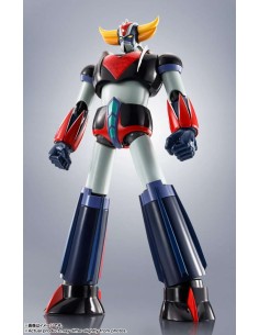 Bandai Robot Spirits...