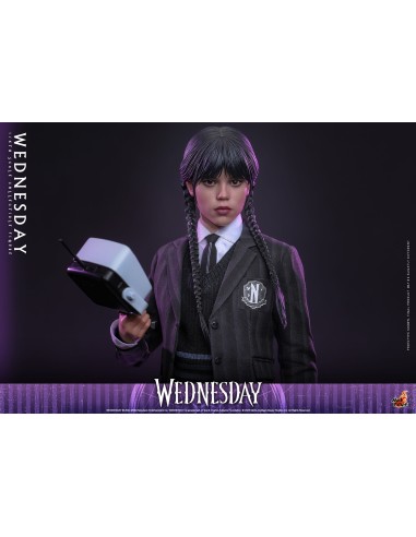 Hot Toys Wednesday 1/6 Scale...
