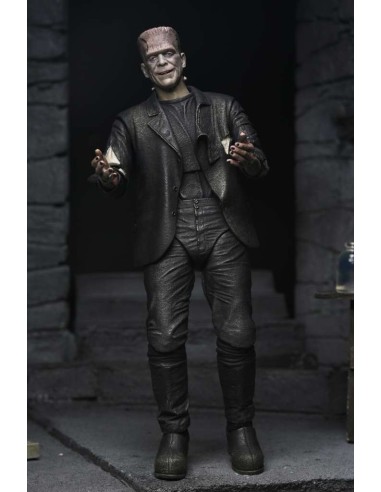 Neca Frankenstein & Bride Universal... Neca Frankenstein & Bride Universal...