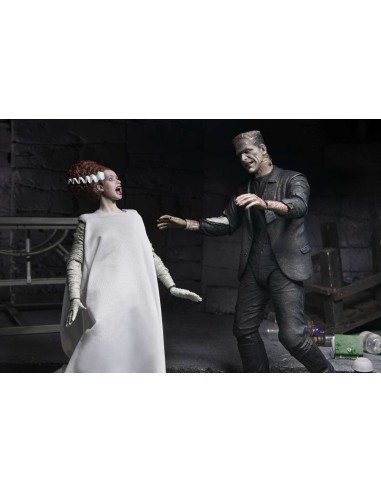 Neca Frankenstein & Bride Universal... Neca Frankenstein & Bride Universal...