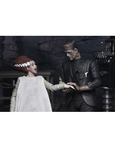 Neca Frankenstein & Bride Universal... Neca Frankenstein & Bride Universal...