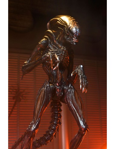 Neca Alie Romulus Scorched Xenomorph