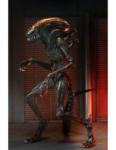 Neca Alie Romulus Scorched Xenomorph