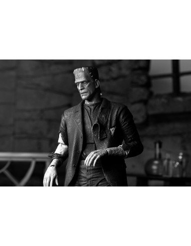 Neca Universal Monsters...