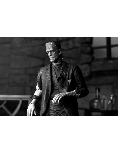 Neca Universal Monsters...