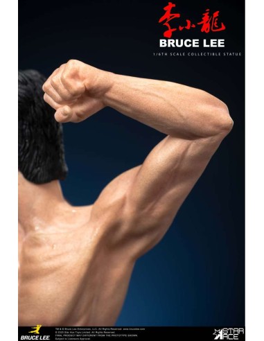 Star Ace Bruce Lee Flying-Kick