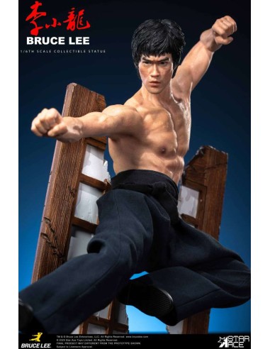 Star Ace Bruce Lee Flying-Kick