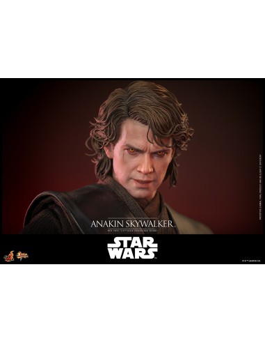 Hot Toys Star Wars Episode III...