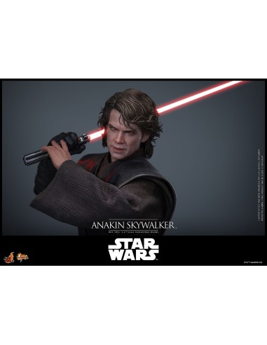 Hot Toys Star Wars Episode III...