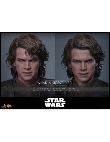 Hot Toys Star Wars Episode III...