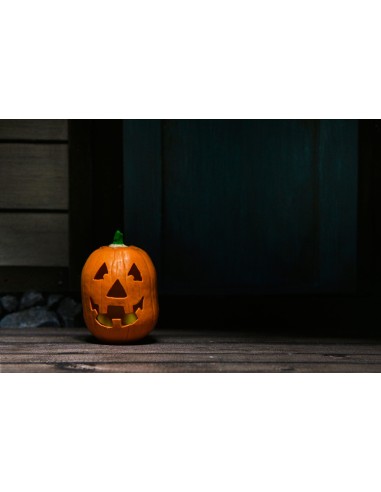 Neca Halloween Resurrection Michael...