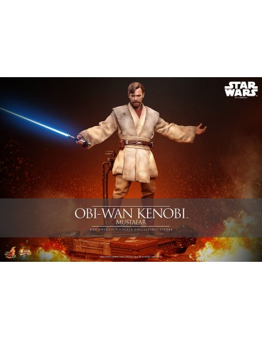 Hot Toys Star Wars Episode III...