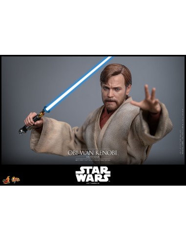 Hot Toys Star Wars Episode III...