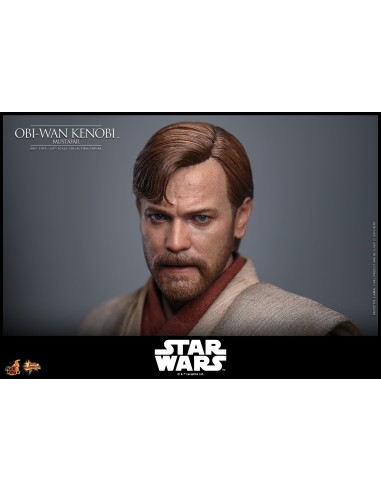 Hot Toys Star Wars Episode III...