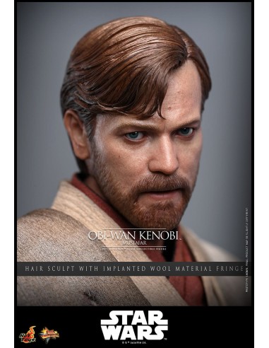 Hot Toys Star Wars Episode III...