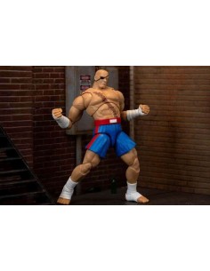Jada Toys Street Fighter II...